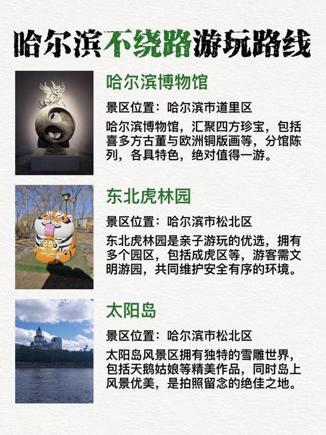 伴手礼必买指南与特色推荐开元棋牌试玩哈尔