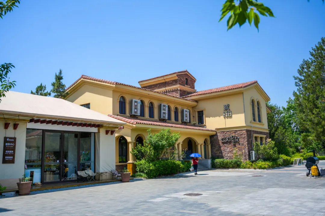 文化旅游季专属优惠掉落开元棋牌2025大学生(图9) 文化旅游季专属优惠掉落开元棋牌2025大学生(图9)