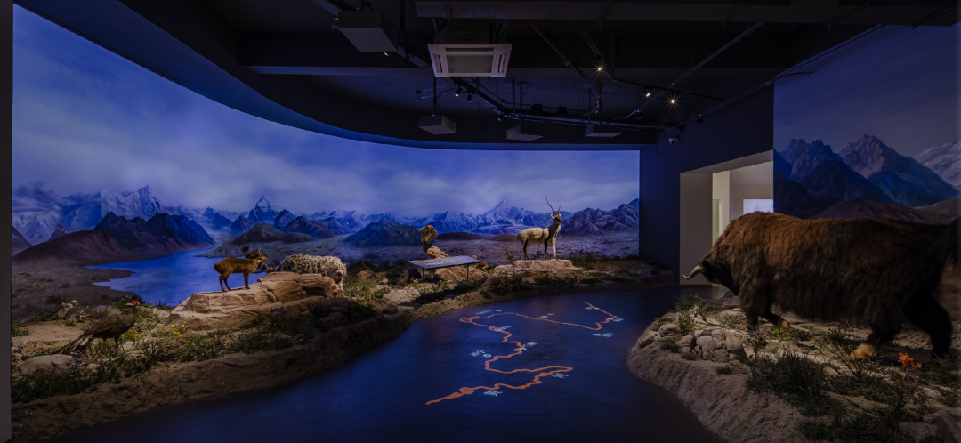 文化旅游季专属优惠掉落开元棋牌2025大学生(图11) 文化旅游季专属优惠掉落开元棋牌2025大学生(图11)